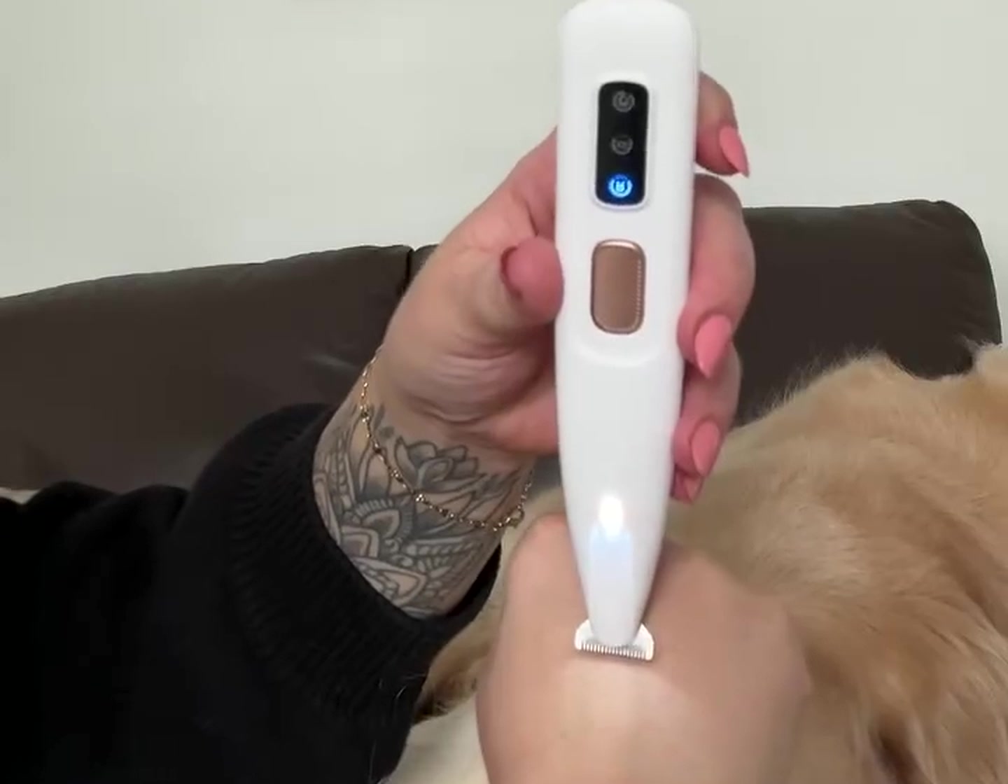 The P1 Paw Trimmer held in one hand