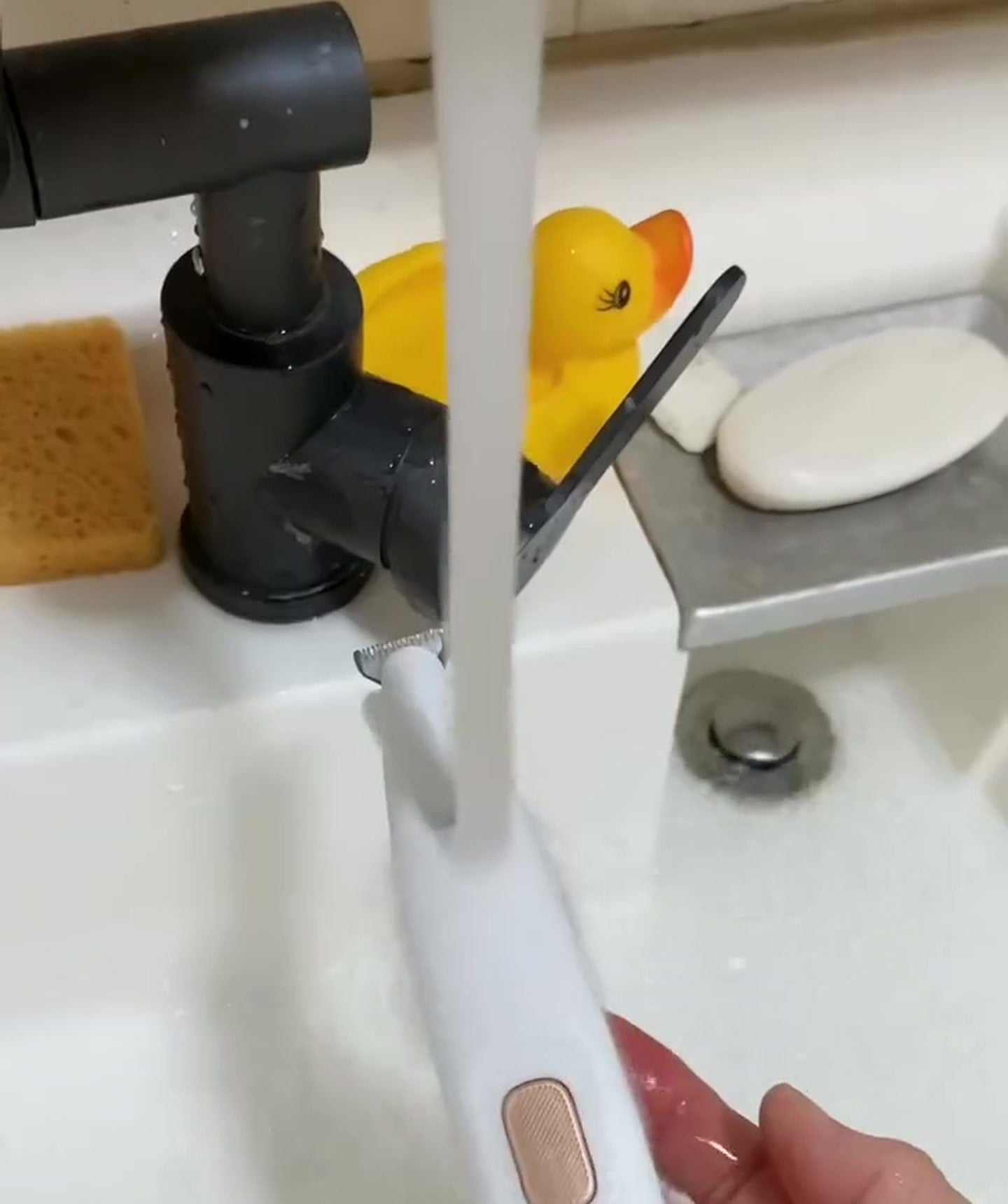 The head rinsed under running water